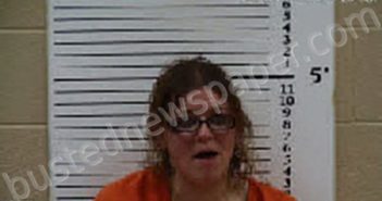 PITZER, KARLA MARIE | 2024-12-28 00:14:00 Cherokee County, North Carolina Booking