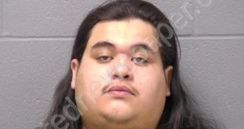 DOMINGUEZ, JOSE | 2024-12-28 02:17:00 Will County, Illinois Booking