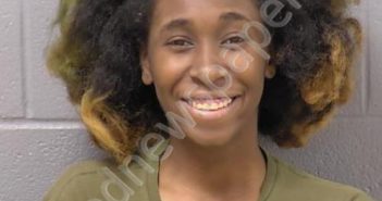 HIGH, KAVONNI ELAINE | 2024-12-28 21:41:00 Will County, Illinois Booking