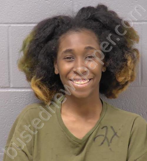 HIGH, KAVONNI ELAINE #, Will County, Illinois - 2024-12-28 21:41:00