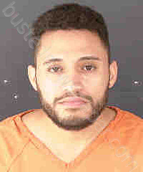 DO NASCIMENTO, VINICIUS NASCIMENTO,VINICIUS GOMES #, Sarasota County, Florida - 2024-12-28