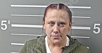 <B>MARIA</B>, <B>TANYA</B> <B>L</B> #, Montgomery County, Illinois - 2024-12-28 11:04:19