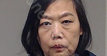 CHEN, GRACE HONGDI | 2024-12-29 13:19:00 Collin County, Texas Booking