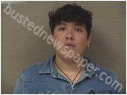 MENDOZA- PONCE, ARIEL | 2024-12-29 Harnett County, North Carolina Booking