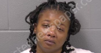 ROBINSON, BRIANA S | 2024-12-29 04:25:00 Will County, Illinois Booking