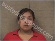 SANCHEZ, FANNIE | 2024-12-29 Harnett County, North Carolina Booking