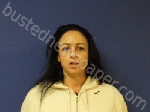 ARDILLO, BRANDI LYNN #, Sampson County, North Carolina - 2024-12-31 01:23:00