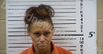 GATES, CHRISTINA LEE | 2024-12-31 15:11:00 Cherokee County, North Carolina Booking