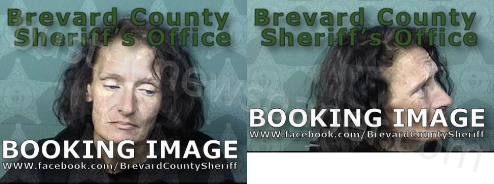 HOUSER, LANA N #, Brevard County, Florida - 2024-12-31 19:59:00