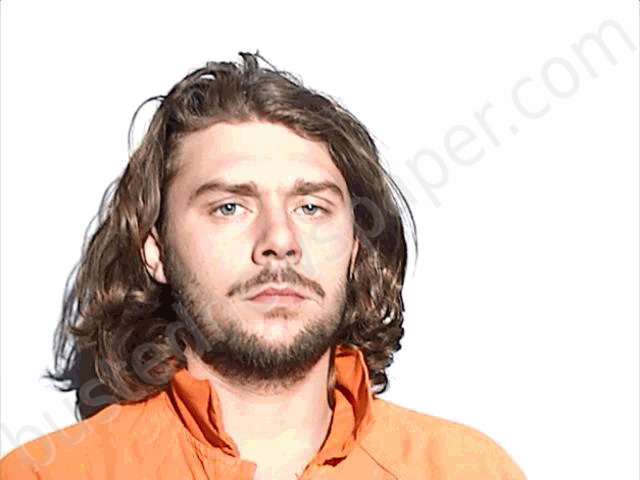 VANDEVELDE, ROBERT EDWARD #, Lucas County, Ohio - 2025-01-02 07:26:00