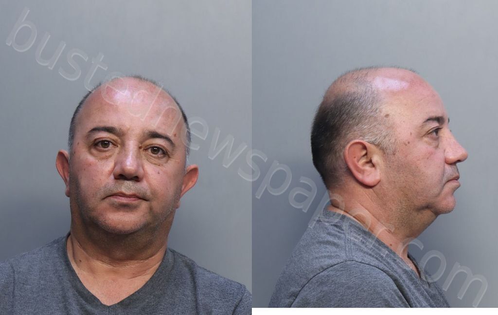 TEOMAN, ISMAIL HAKKI #, Miami-Dade County, Florida - 2025-01-02 00:44:00