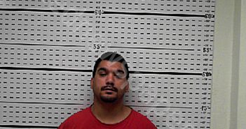 CASTILLO, ROMAN | 2025-01-02 20:00:01 Jim Wells County, Texas Booking