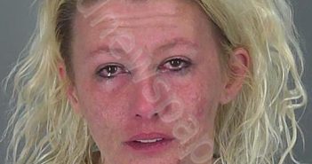 <B>AMBER</B> <B>LYNN</B> <B>WILLIAMS</B> #, Spartanburg County, South Carolina - 2025-01-03 10:44:35