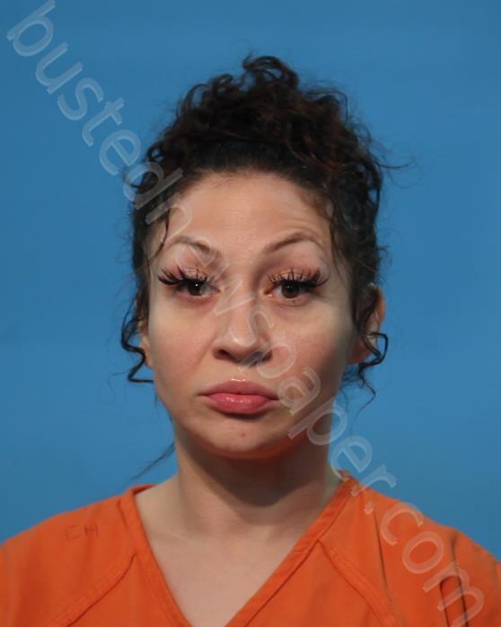 Landa, Justine Candice 20250104 Brazoria County, Texas Booking