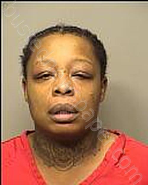 JAMES, MARTHESHA MYRA #, Porter County, Indiana - 2025-01-04 01:15:00
