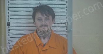 BROWN, MATTHEW TYLER | 2025-01-04 10:44:00 Taylor County, Kentucky Booking