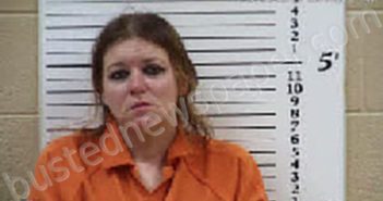 PITZER, KARLA MARIE | 2025-01-04 02:47:00 Cherokee County, North Carolina Booking
