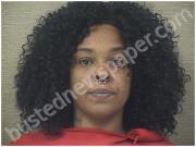 SWAN, ISLA | 2025-01-04 Harnett County, North Carolina Booking