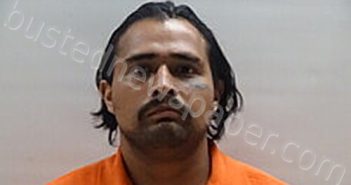 GUAJARDO LADISLAO | 2025-01-05 Cameron County, Texas Booking