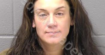 ROSS, JENNIFER M | 2025-01-05 21:37:00 Will County, Illinois Booking