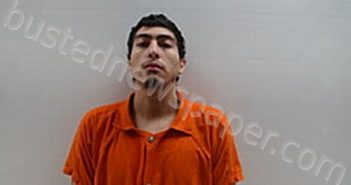 LIZAMA CARLOS ALBERTO | 2025-01-05 Cameron County, Texas Booking