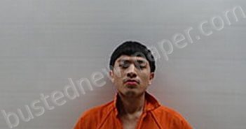 PENA LORENZO | 2025-01-05 Cameron County, Texas Booking