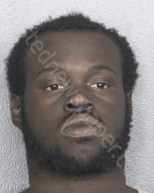 ROSS , DYLAN #, Broward County, Florida - 2025-01-05