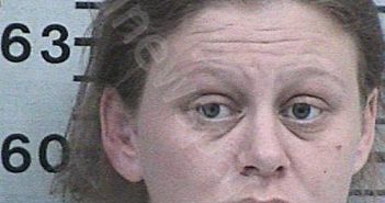WILSON, CANDACE MARIE | 2025-01-06 14:04:18 Hood County, Texas Booking