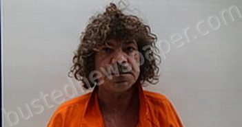 CARDENAS PEREZ HORACIO GUADALUPE | 2025-01-06 Cameron County, Texas Booking