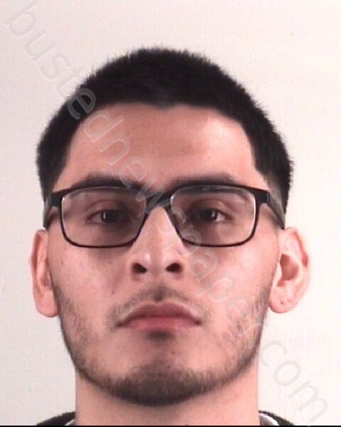 ALVAREZ, JUSTIN JOEL #, Tarrant County, Texas - 2025-01-06