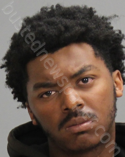 Curtis, Rodney 20250106 Brazos County, Texas Booking