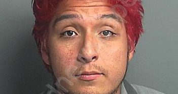 <B>FLORES</B>, <B>MATTHEW</B> ADAM GABRIEL #, Montgomery County, Texas - 2025-01-06 00:19:00