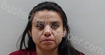 LUNA LAURA LINDA | 2025-01-06 Cameron County, Texas Booking