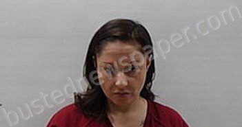 WINGERTER JESSICA | 2025-01-06 Cameron County, Texas Booking