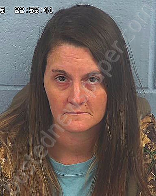 GRAY, JESSICA RYAN #, Etowah County, Alabama - 2025-01-06 21:30:07