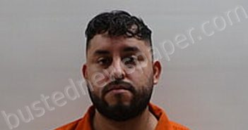SALAS CARLOS ESTEBAN | 2025-01-06 Cameron County, Texas Booking