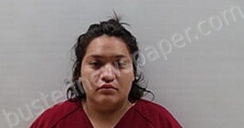 COLLINS GINA | 2025-01-06 Cameron County, Texas Booking