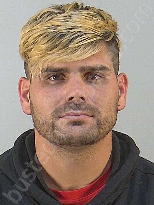 CARLOS ALBERTO ALBUERNE #, Lake County, Florida - 2025-01-07 00:25:00