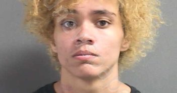 <B>BAILEY</B>, <B>BRITTANY</B> <B>DANIELLE</B> #, Volusia County, Florida - 2025-01-07 19:40:00