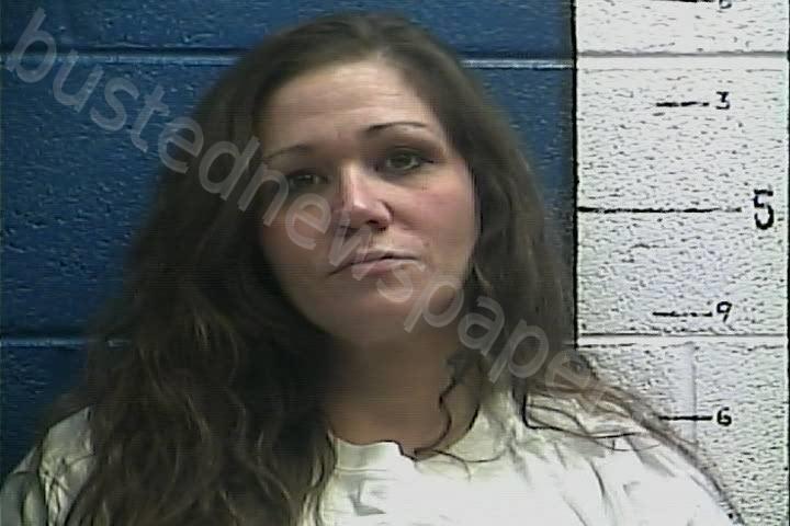 COOK, AMY C #, Rockcastle County, Kentucky - 2025-01-08 21:19:00
