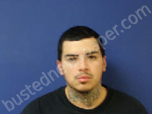 CARDENAS, MARIO ALBERTO #, Sampson County, North Carolina - 2025-01-08 11:18:00