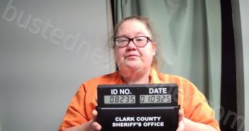 ROBERTSON, ANNA RENEE | 2025-01-09 16:53:00 Clark County, Missouri Booking