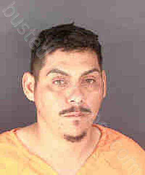 CERVANTES RUIZ, JOSE RUIZ,JOSE GUADALUPE #, Sarasota County, Florida - 2025-01-09