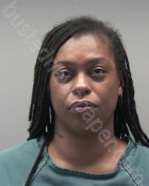 JAMES, DEONA #, Montgomery County, Ohio - 2025-01-09 12:30:00