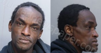 <B>JOHNSON</B>, <B>REMY</B> #, Miami-Dade County, Florida - 2025-01-09 18:01:00