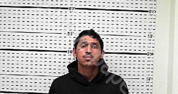 ALEGRIA, TYLER RENE | 2025-01-10 19:00:01 Jim Wells County, Texas Booking