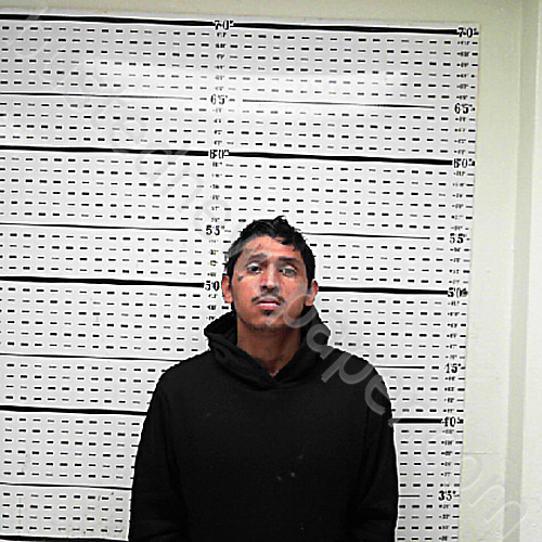ALEGRIA, TYLER RENE #, Jim Wells County, Texas - 2025-01-10 19:00:01