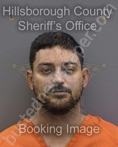 HERNANDEZ VALDES,JAVIER #, Hillsborough County, Florida - 2025-01-10 20:42:00