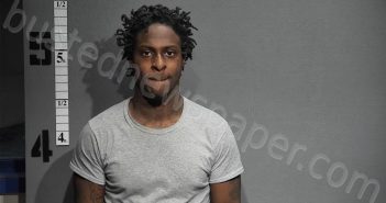 DRAKE, MICHAEL | 2025-01-10 11:19:00 Western Tidewater, Virginia Booking