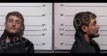 <B>TAYLOR</B>, <B>MATTHEW</B> <B>GAGE</B> #, Gillespie County, Texas - 2025-01-11
